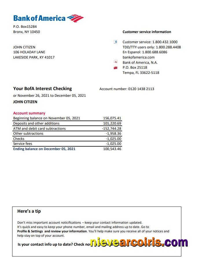 USA Bank of America bank statement easy to fill in .xls and .pdf file format